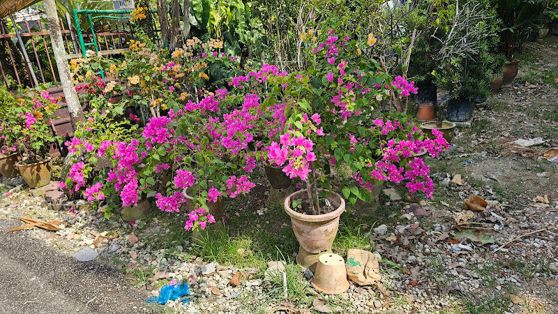 Camellia Landscape Sdn Bhd gallery