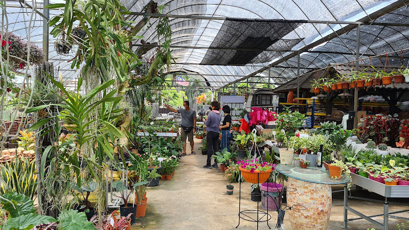 Palmgrove Nursery