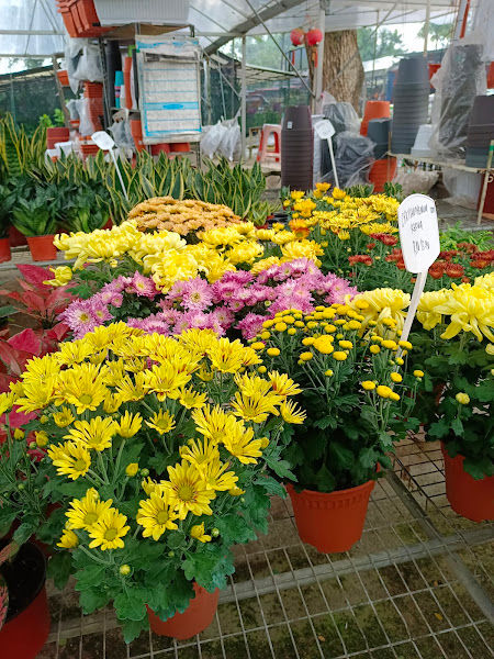 Natural Beauty Garden gallery