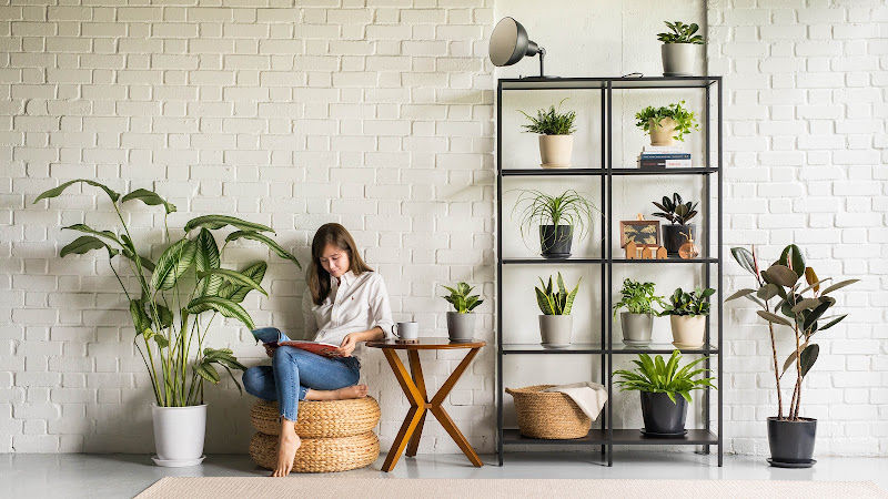 Bloomspace Malaysia gallery