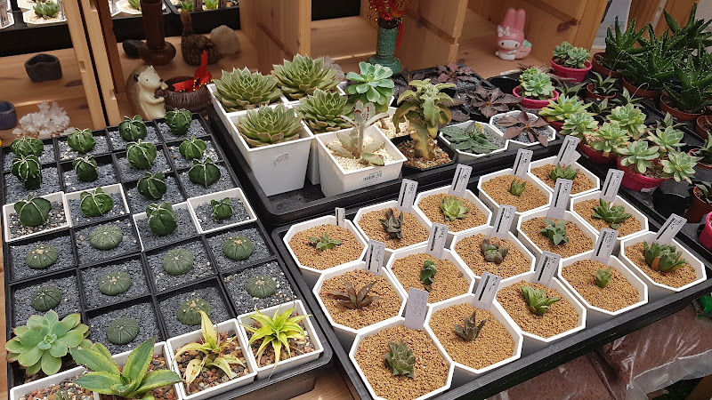 Sunmore Enterprise (KL) gallery