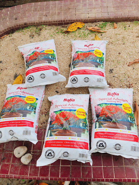 Jia Yi Garden gallery