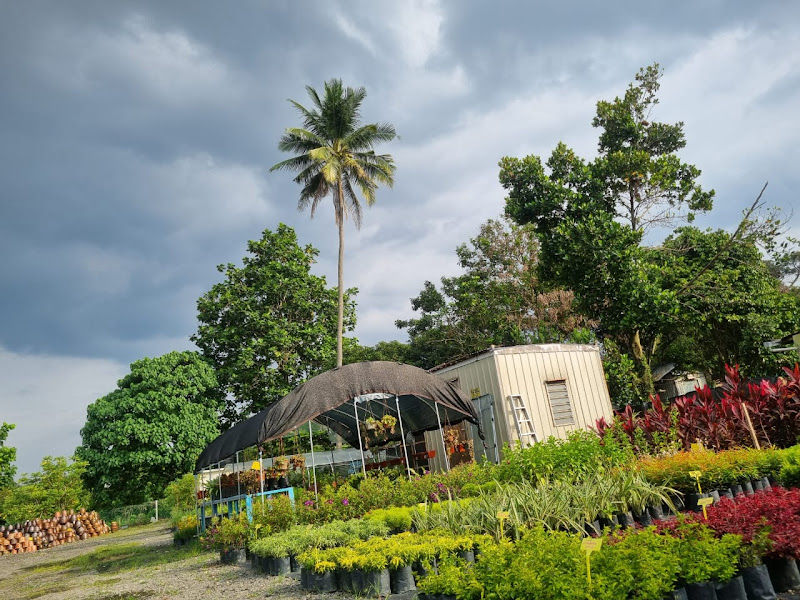 Fu Gui Nursery 富贵花圃