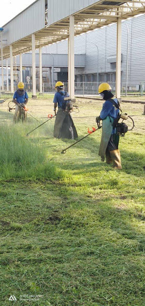 Green Wealth Nursery gallery