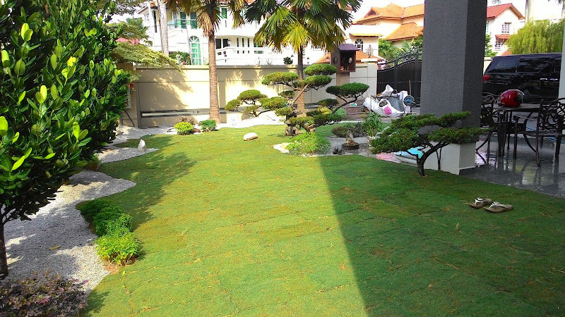 Automatic Watering Solutions gallery