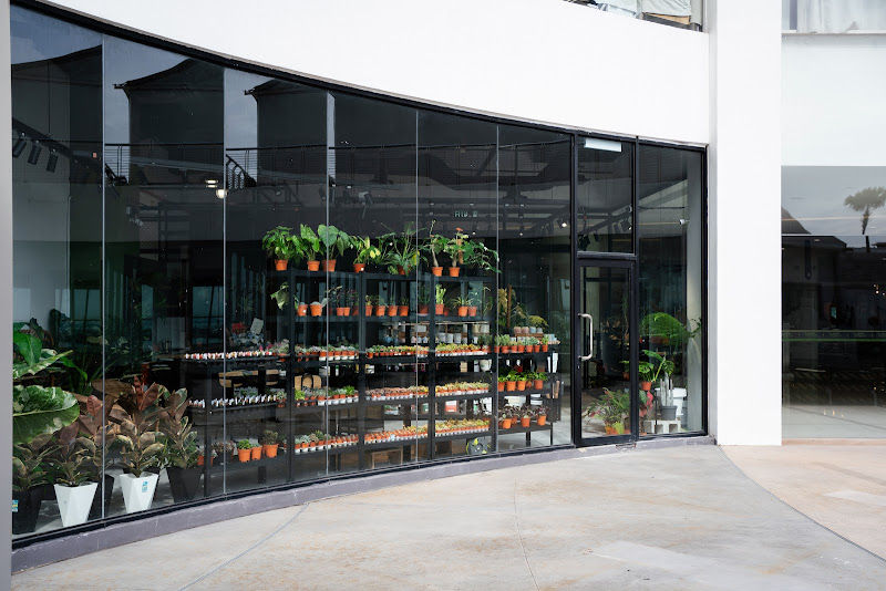 Succulent Shop (Gurney Paragon)