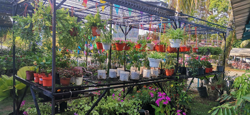 aBIL NURSERY gallery