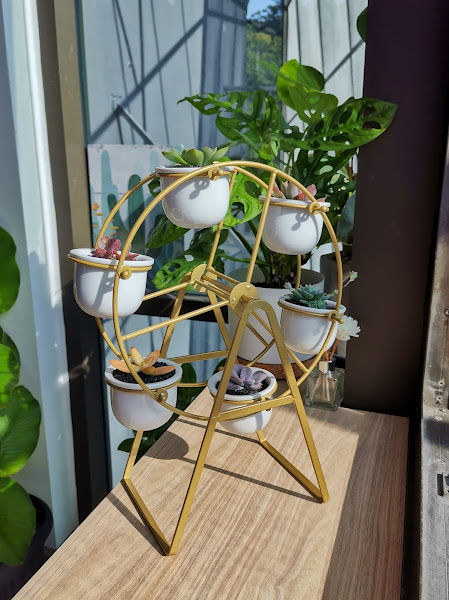 Little Eden Succulents Studio (Malaysia's 1st Succulent Terrarium Specialist Est. 2016) gallery