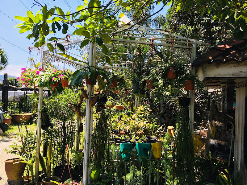 Ukay Nursery (Setiawangsa Branch) gallery