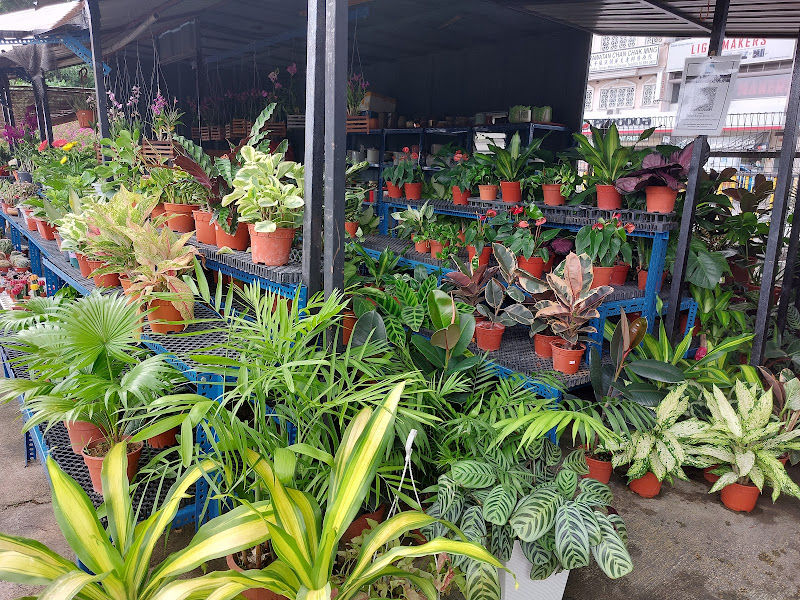 Taman Bunga Shou Tu gallery