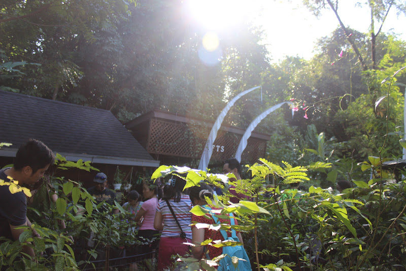 Free Tree Society Kuala Lumpur