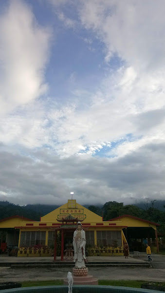 Yoke Lin Nursery gallery