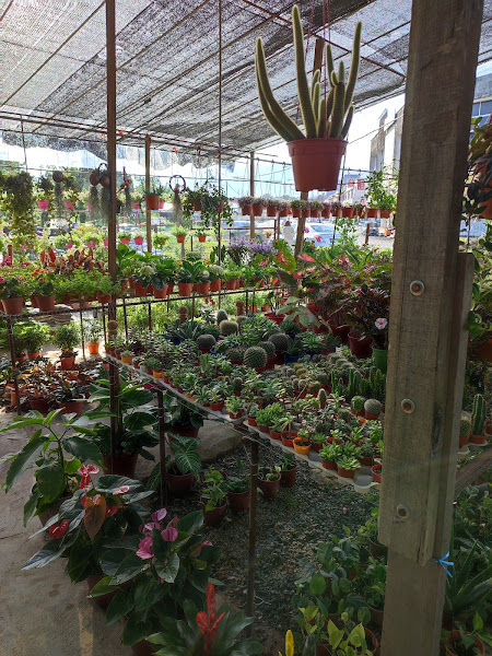 JA Nursery & Landscape