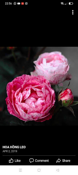 Nursery Alam gallery