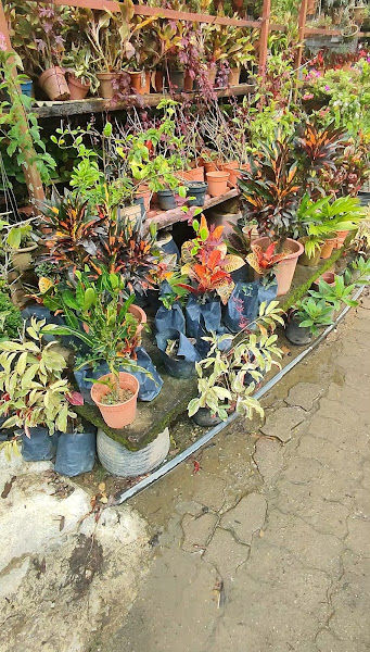 Taman Sungai Perak gallery