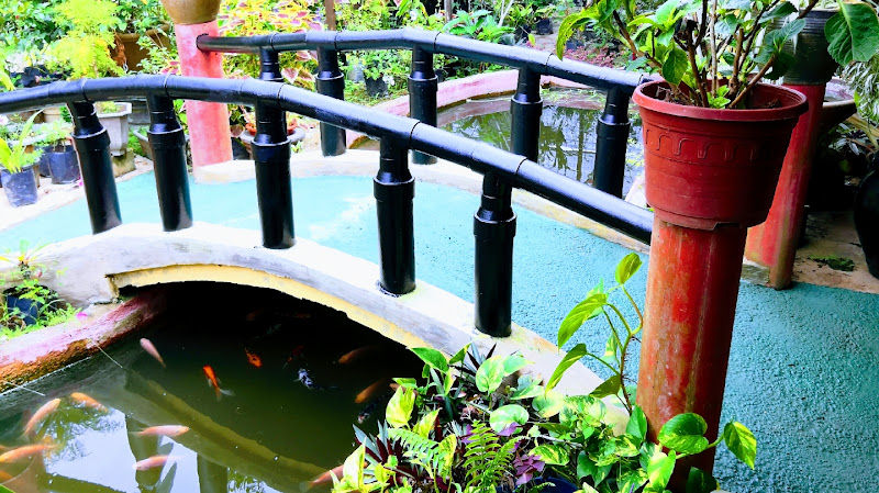 Nursery Senah Kelinik gallery