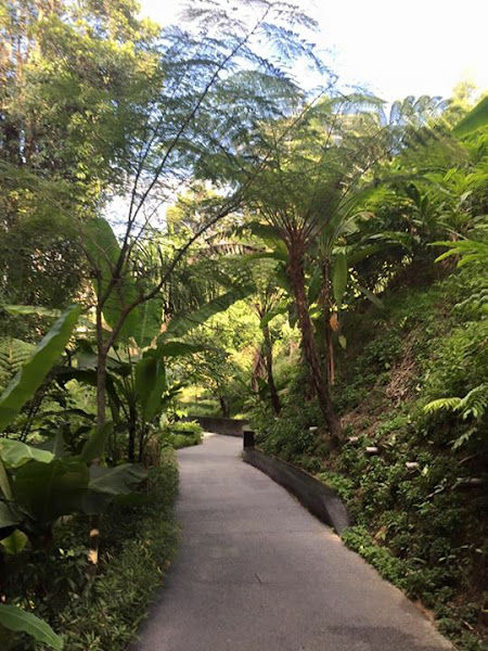 Walker Landscape Sdn Bhd gallery