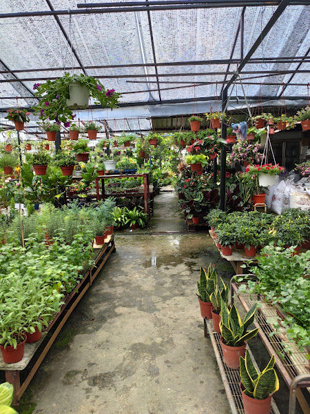Rimbun Mahligai Nursery gallery
