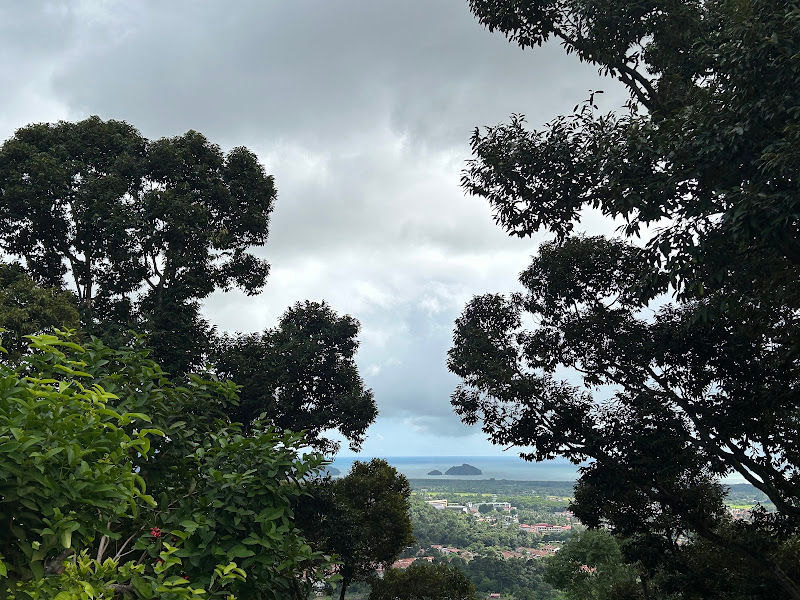 Chang Huat Choon Durian gallery