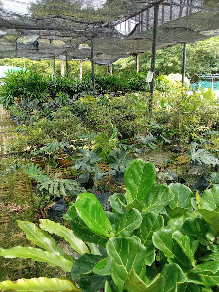 Nilai Landscape Sdn. Bhd. gallery