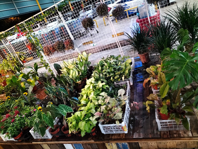 Nursery story gallery