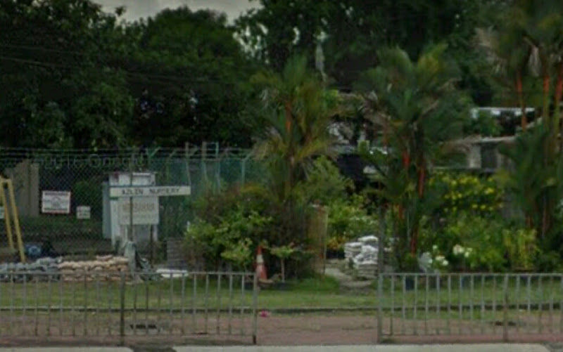 Azlin Nursery gallery