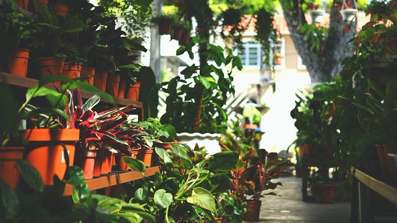 Birch Gurney gallery