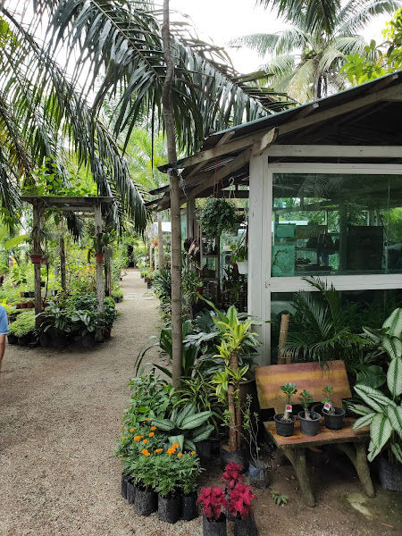 Nursery Pasar Borong Selangor