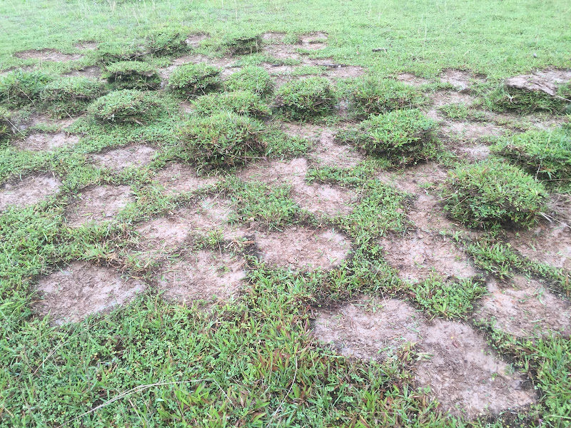 FD Garden Enterprise gallery