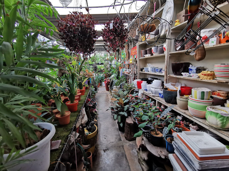 Genting Floral Nursery gallery
