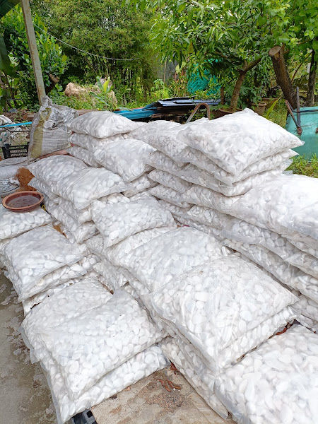 Rezada Flora gallery