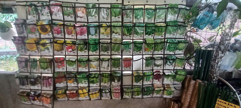 Plant Nursery gallery