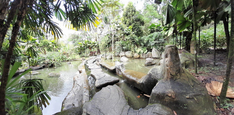 Oasis Garden gallery