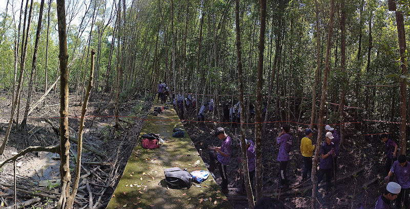 Kuala Selangor Nature Park- Community Mangrove Nursery gallery