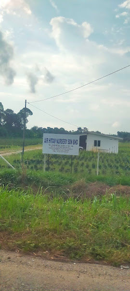 Air Hitam Nursery Sdn Bhd gallery