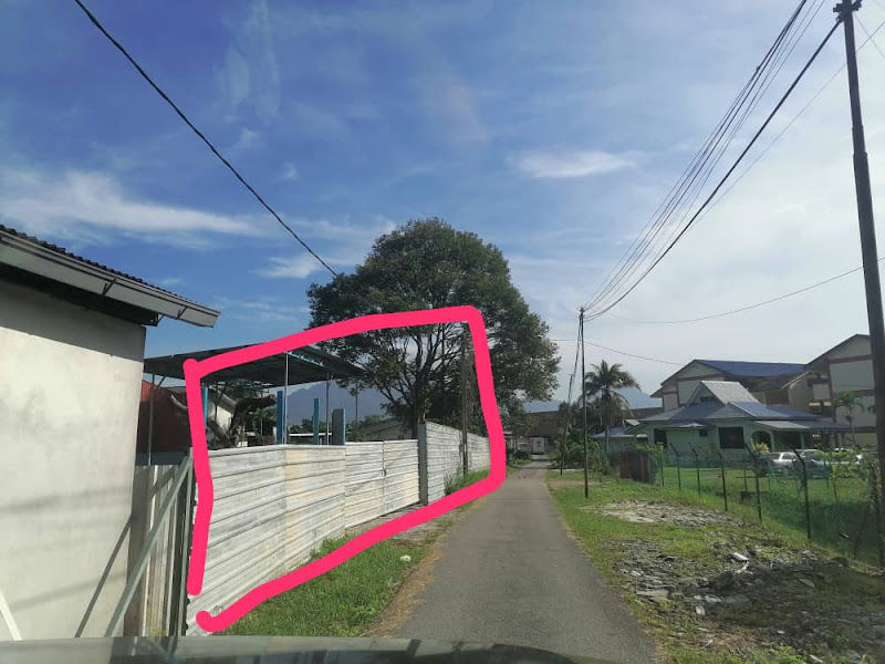 Bising Production (Indoor plant / Aroid plant nursery) gallery