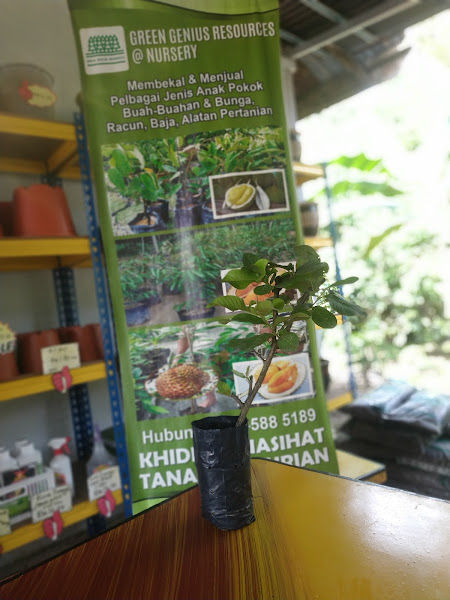 Green Genius Resources at Nursery Perak gallery