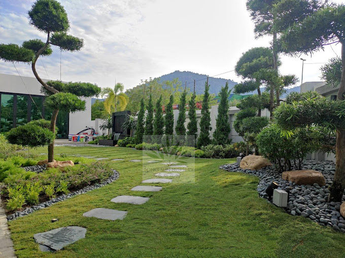 Tong Sun Nursery & Landscape