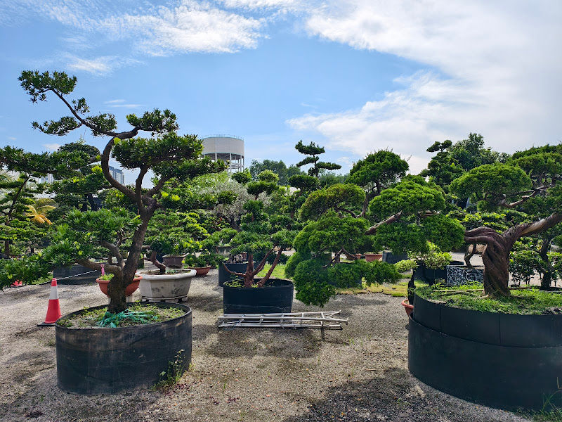 Earthly Treasures gallery