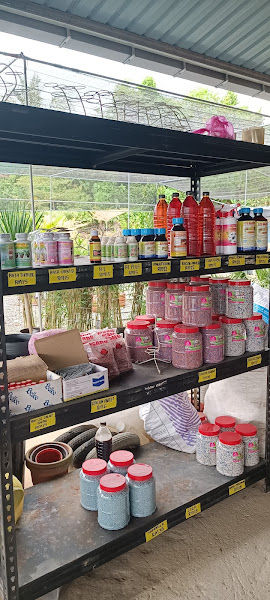 Halim Green Nursery Kuala Kangsar