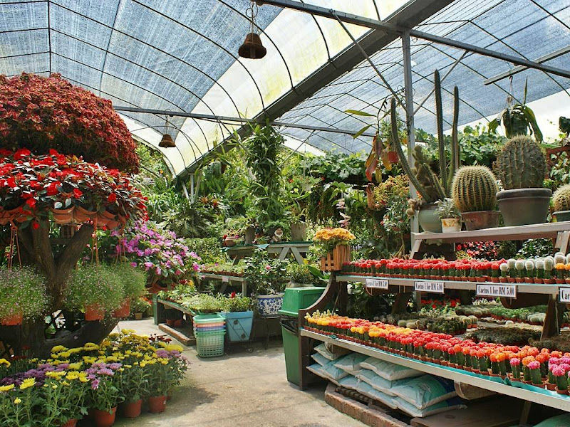 Fragrance nursery gallery