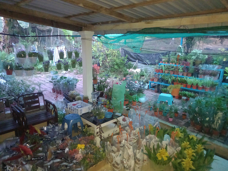 Mat Bunga Nursery gallery