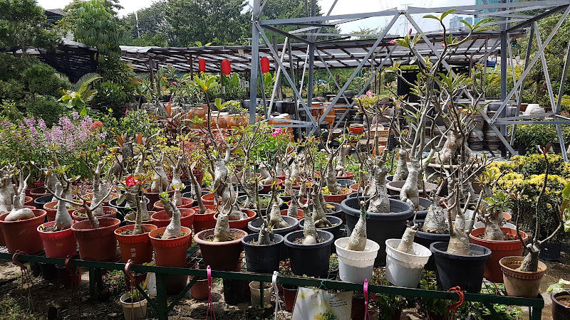 Home Retreat Sdn Bhd gallery