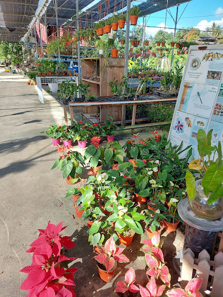 Jia Yi Garden gallery