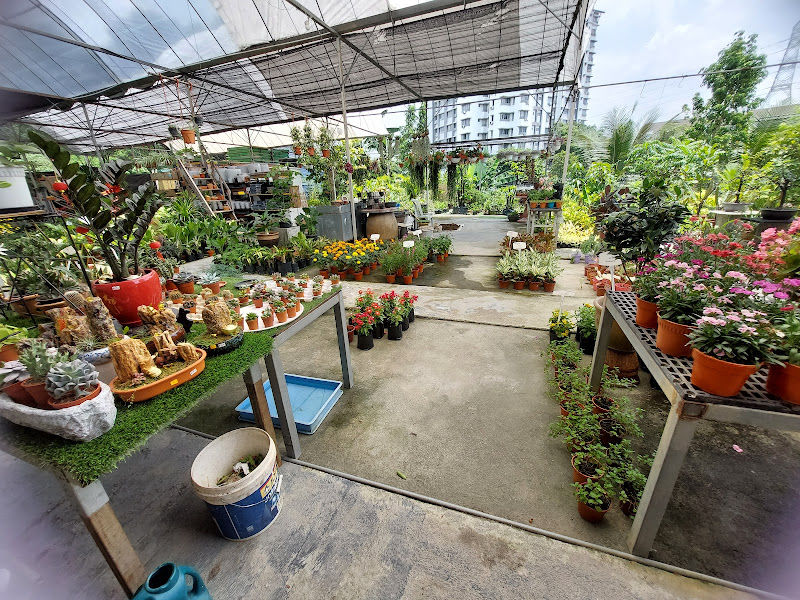 Kemuning Utama Nursery gallery