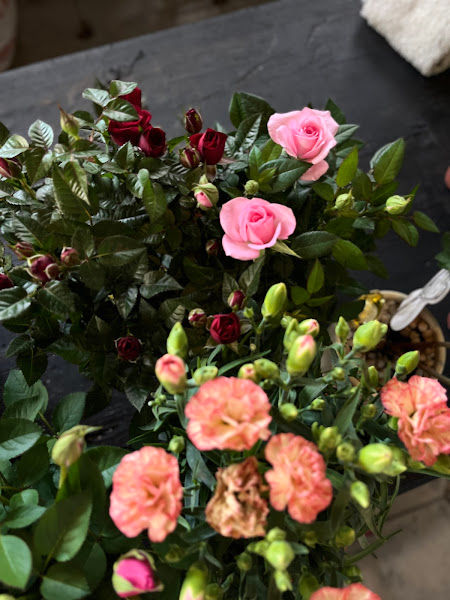 Eco Plus Venture Nursery gallery