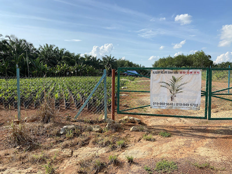 Green Planttech Trading （Nursery Sawit BERA)
