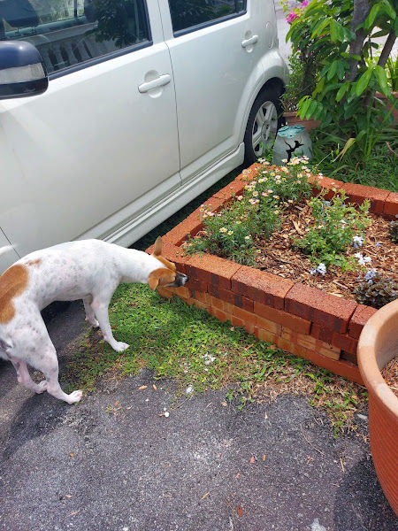 Ground Control Sdn Bhd gallery