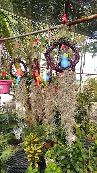 SRI ANDALAS NURSERY gallery