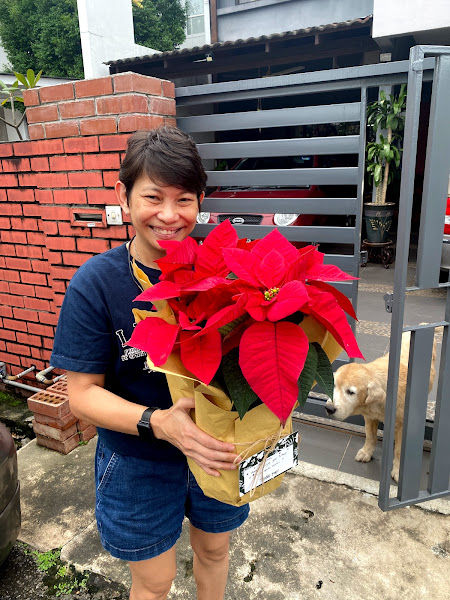 The Little Forest Malaysia gallery